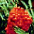 Предпросмотр схемы вышивки «рябина кудрявая» (№396885)