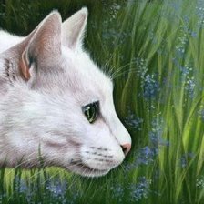 Схема вышивки «Белая кошечка»