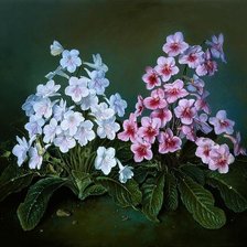 Два букетика