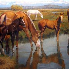 Схема вышивки «Лошади у реки»