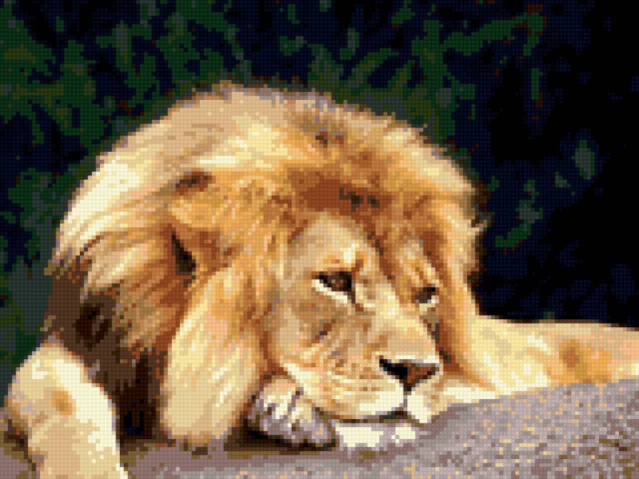 лев, дикие кошки - кошки - предпросмотр