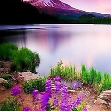 Схема вышивки «№397075»