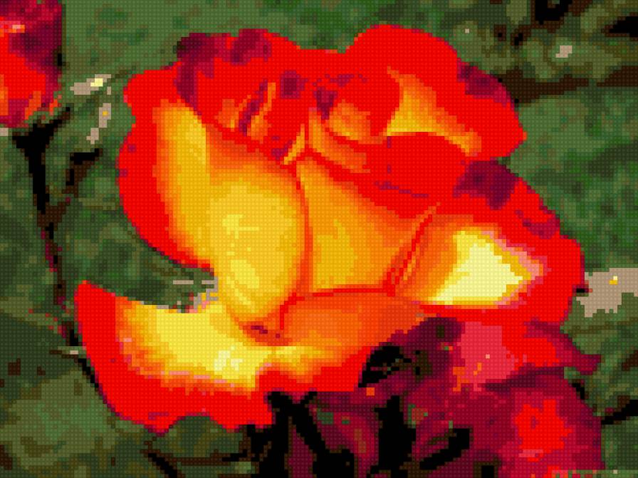 ROZA - роза - предпросмотр