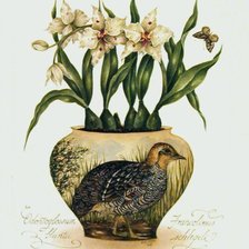 Схема вышивки «орхидея»