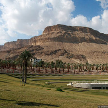 Схема вышивки «природа»