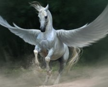 Схема вышивки «пегас»