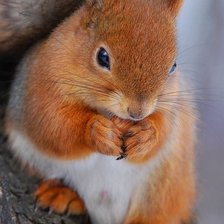 Схема вышивки «№397352»