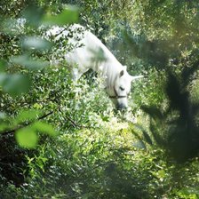 Схема вышивки «единорог»