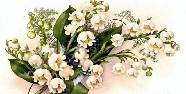 ландыши - оригинал