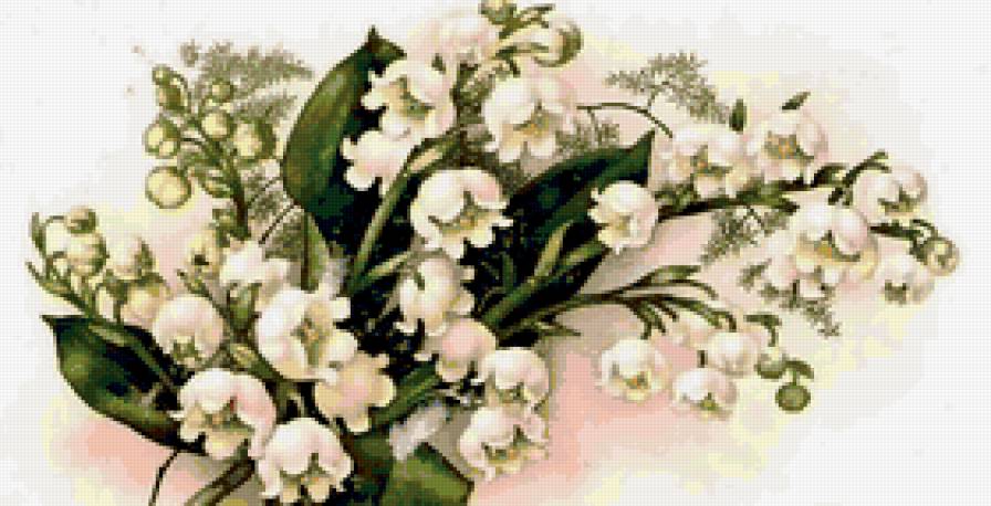 ландыши - предпросмотр