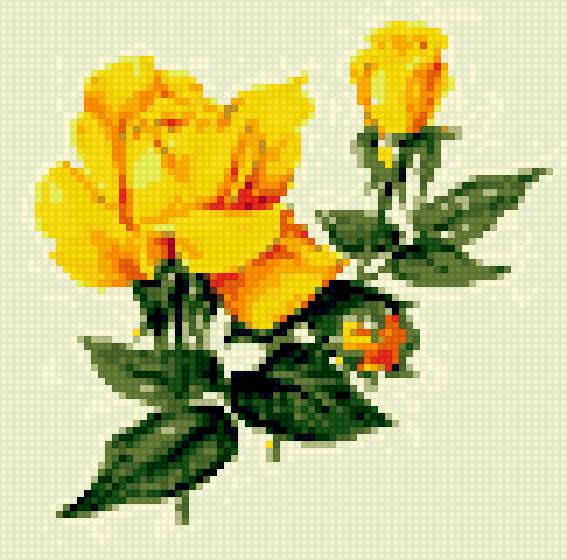 Желтые розы - предпросмотр