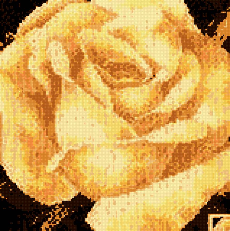 чайная роза - предпросмотр