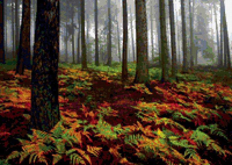 осенний лес - лес, природа, пейзаж - предпросмотр