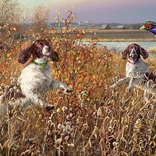Схема вышивки «№397614»