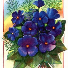 Схема вышивки «фиалки»