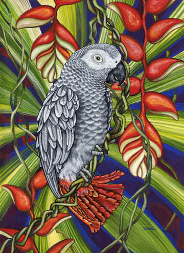 экзотические птицы - попугай - оригинал