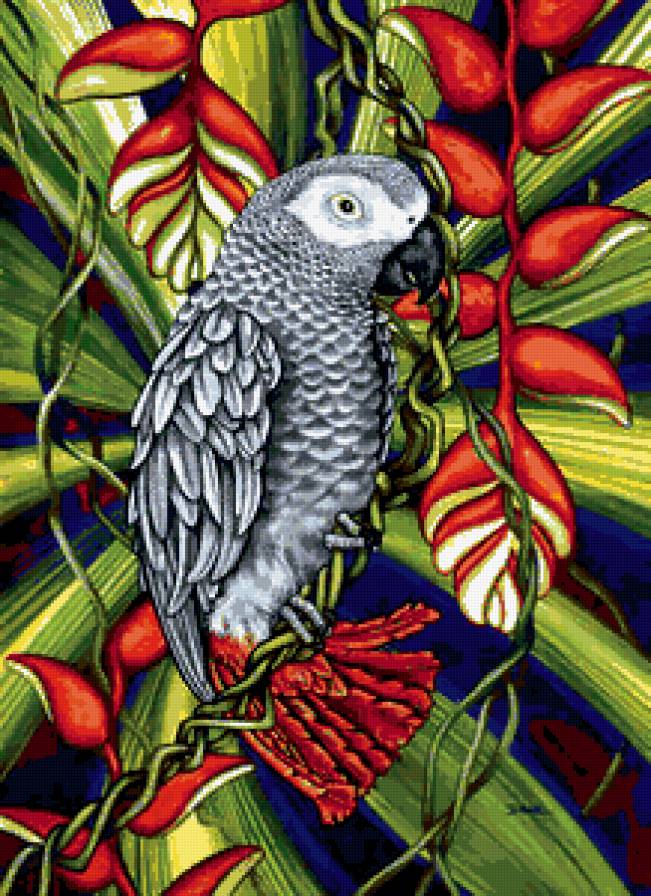 экзотические птицы - попугай - предпросмотр