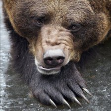 Схема вышивки «медведь17»