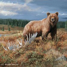 Схема вышивки «медведь18»