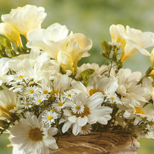 корзинка с белыми цветами