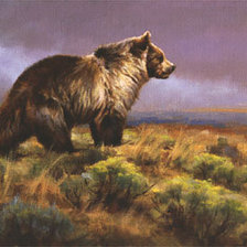 Схема вышивки «медведь25»