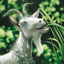 Схема вышивки «kaza»