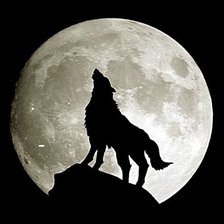 Схема вышивки «Одинокий волк»