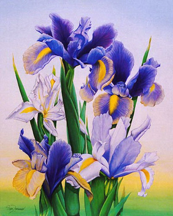 ирисы - оригинал
