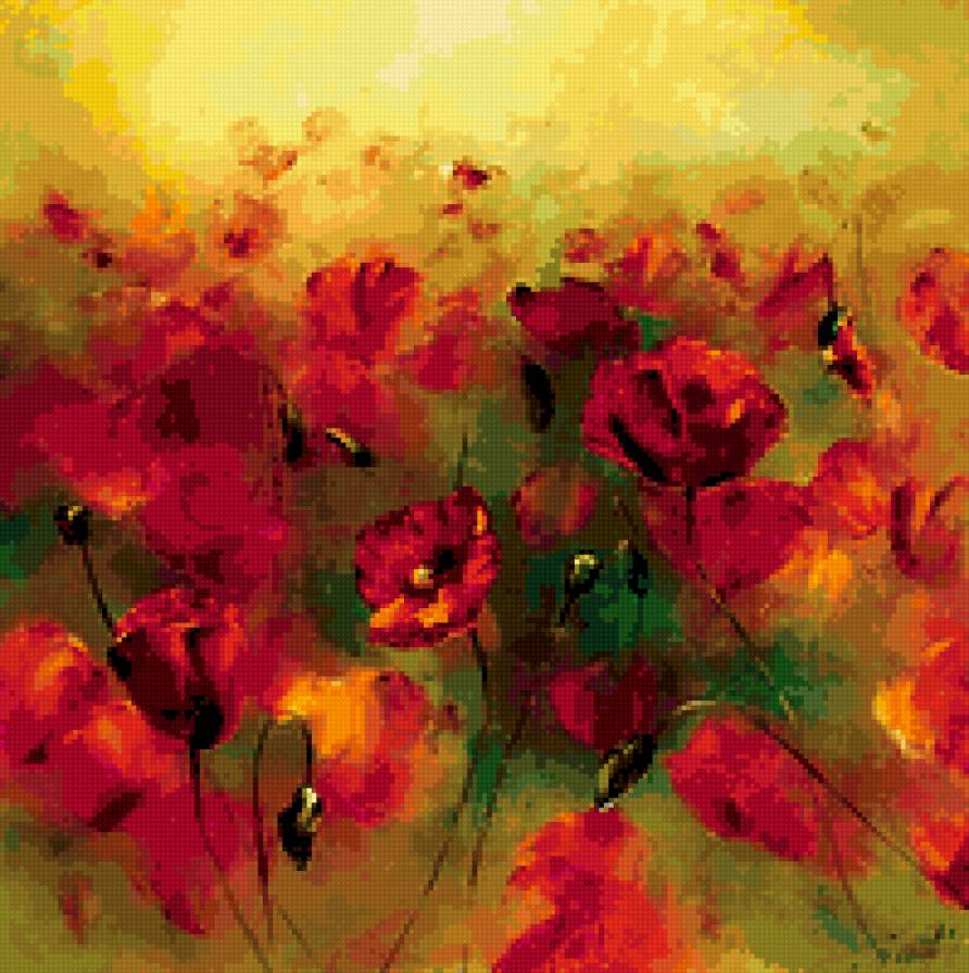 маки, маки, маки - поле, цветы - предпросмотр