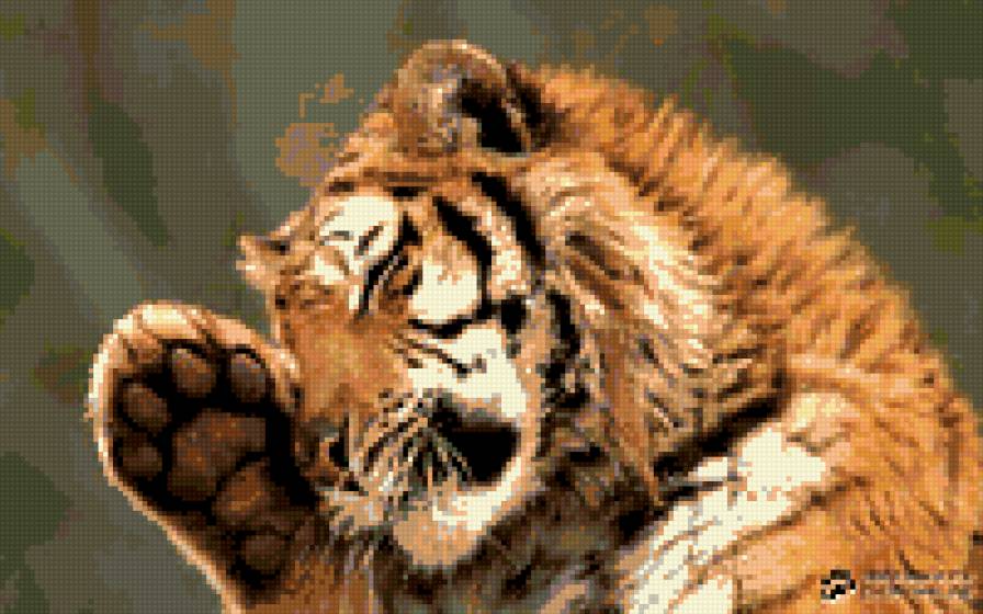 тигр - предпросмотр