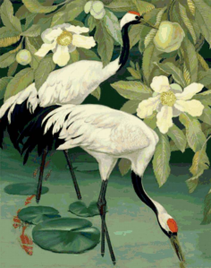 цапли - предпросмотр