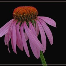 Схема вышивки «№398307»