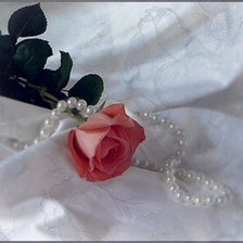 Схема вышивки «роза»