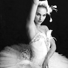 Схема вышивки «Черный Лебедь»