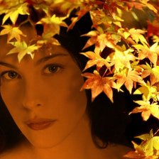 Арвен в осенних листьях