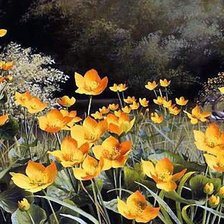 Схема вышивки «Серия "Полевые цветы"»