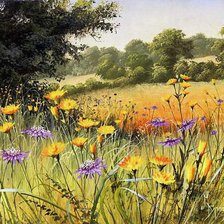 Схема вышивки «Серия "Полевые цветы"»