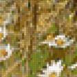Предпросмотр схемы вышивки «Серия "Полевые цветы"» (№398463)