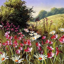 Схема вышивки «Серия "Полевые цветы"»