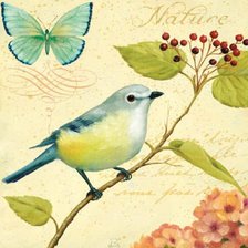 Схема вышивки «птица»