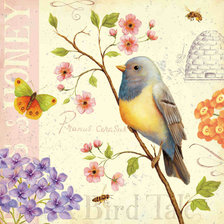 Схема вышивки «птица»