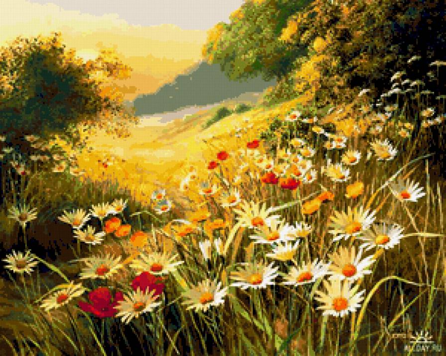 Серия "Полевые цветы" - цветы, поле, пейзаж, лето, ромашки - предпросмотр