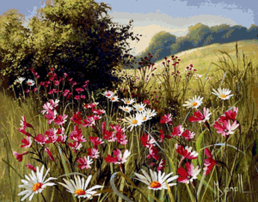 Серия "Полевые цветы" - ромашки, цветы, пейзаж, поле, лето - предпросмотр