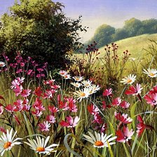 Схема вышивки «Серия "Полевые цветы"»