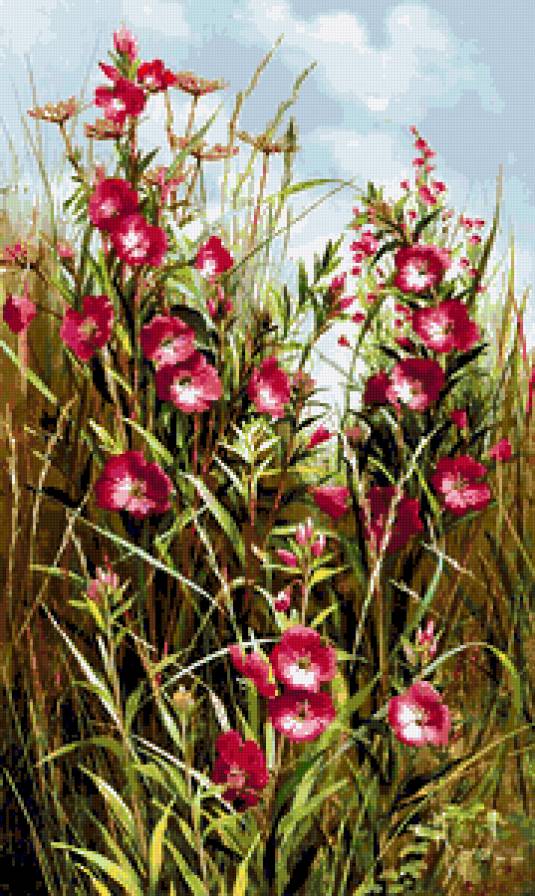 Серия "Полевые цветы" - лето, пейзаж, мальва, поле, цветы - предпросмотр