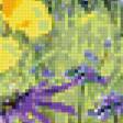 Предпросмотр схемы вышивки «Серия "Полевые цветы"» (№398486)