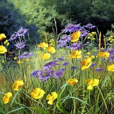 Схема вышивки «Серия "Полевые цветы"»