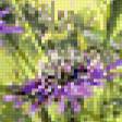 Предпросмотр схемы вышивки «Серия "Полевые цветы"» (№398487)