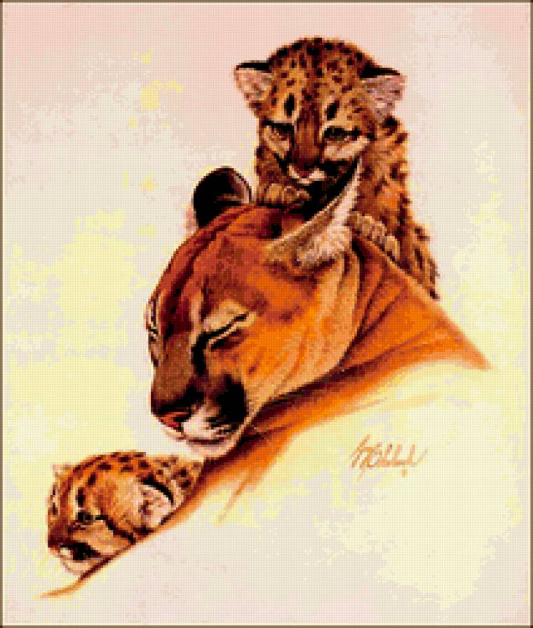 Семейство кошачьих - семья, кошки, дикие кошки, львы - предпросмотр