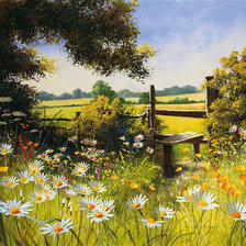 Схема вышивки «Серия "Полевые цветы"»